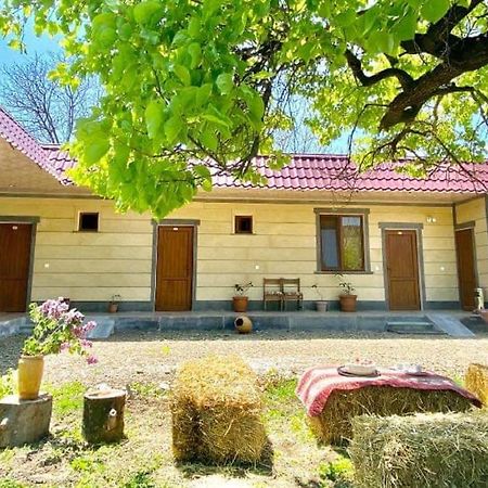 Aghasu Tun B&B Odzun Exterior foto